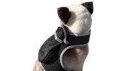 Resilient Collar Rechargeable GPS Dog Tracking Device for Playful Pet Labrador Size:XS