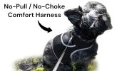 Resilient Collar Rechargeable GPS Dog Tracking Device for Playful Pet Labrador Size:XS