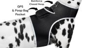 Resilient Collar Rechargeable GPS Dog Tracking Device for Playful Pet Labrador Size:XS