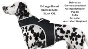 Resilient Collar Rechargeable GPS Dog Tracking Device for Playful Pet Labrador Size:XS