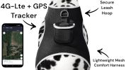Resilient Collar Rechargeable GPS Dog Tracking Device for Playful Pet Labrador Size:XS