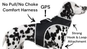 Resilient Collar Rechargeable GPS Dog Tracking Device for Playful Pet Labrador Size:XS