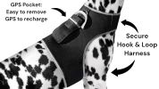 Resilient Collar Rechargeable GPS Dog Tracking Device for Playful Pet Labrador Size:XS