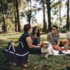 30L Insulated Picnic Basket Cooler Collapsible Food Delivery Storage Bag Grocery Market Basket Heat & Cool Insulation w/ Aluminum Handles